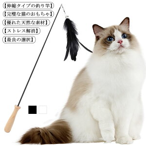 足 釣り 猫用おもちゃの人気商品 通販 価格比較 価格 Com