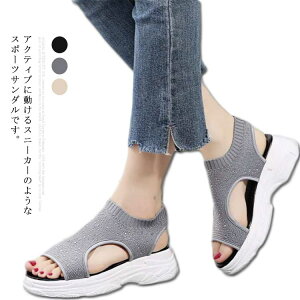 T_ X|[cT_ fB[X  r q[ ₷ ~ RtH[g V[Y JWA I[vg  ɂ ʋ ʊw AEghA