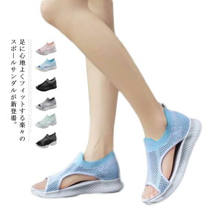 T_ X|[cT_ fB[X  r r[`T_ ₷ ~ RtH[g V[Y JWA I[vg  ɂ _炩 AEghA y