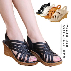 I[vgD nCq[T_ T_  EFbWT_ EFbW\[ T_ 7cmq[ XgbvT_ obNS 傫TCY t  r