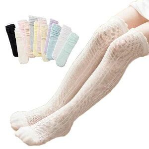 LbY C ̎q bV q  C nC\bNX G  xr[ ΍ n t   \bNX  qǂ ǂ K[Y tH[}