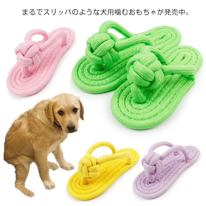 楽天市場 室内遊び 中型犬 ペット 噛むスリッパ 噛むおもちゃ ムズムズ解消 おもちゃ ロープ 犬 歯固め 噛む 猫 子犬 歯磨き パピー 甘噛み 犬ロープおもちゃ 犬用玩具 運動 ペット用品 ペットグッズ 犬用品 犬グッズ 耐久性 小型犬 サンダル サンダル Neighbor