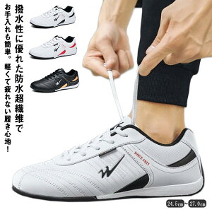 StV[Y fB[X Y XpCNX V[Y C ʋC V[Y jp  h Xj[J[ golf C ChX^C L XpCNXStV[Y 傫TCY S