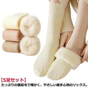 C C fB[X N ӂӂ   \bNX  h ۂۂ gC ~ \bNX g M ۉ ₦Ƃ g N[\bNX 