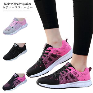 Xj[J[ fB[X ؍  bV ^ ʋC I[V[Y Vv y [XAbv wȂC gAbv  ɂ 22.5cm`25.0cm s ʋ ʊw r r 