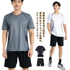 X|[cEFA ZbgAbv Y   tVc V[gpc bV W[W ㉺ Xgb` ڐG⊴ 傫TCY  y Ђ  z jO ejX S