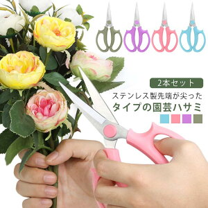 2{Zbg | nT~  Ԃ΂ [ ԋ Ԑ؂΂ K[fjO |p ԃnT~  ϗt A }؂ K[fjOnT~ K[fjOpi XeX oT~ |