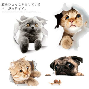 ˂DKI L EH[XebJ[  V[ J[ ① ANZT[   3D LObY rO j[N ʔ CeA ˂