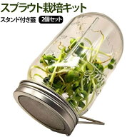 1000ml スプラウト栽培容器 2個セット ブロッコリースプラウト栽培キット 発芽容器 ブロッコリースプラウ…