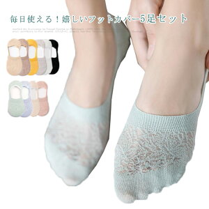 yztbgJo[ fB[X EȂ [ C bV 5Zbg Xj[J[ Jo[\bNX hCrOV[Y Ȃ Jo[\bNX fbLV[Y [t@[ 