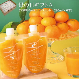 母の日ギフト まる搾りみかんジュースセット みかんジュース オレンジジュース ジュース ギフト ストレート みかん しぼり ジュース プレゼント プチギフト 果汁100% 果肉入り つぶつぶオレンジ つぶつぶみかん 美味しい 2026 人気 ランキング 健康 無添加 60代 70代 義母