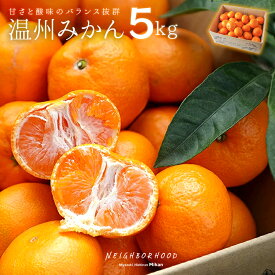 みかん 温州みかん 5kg 送料無料 ミカン お歳暮 みかんお歳暮 蜜柑 秀品 ミカン贈答用 甘いみかん みかん秀品 みかん5キロ 温州ミカン みかん箱入り 贈答用 甘い おいしい 美味しい 贈答用フルーツ お取り寄せ 産地直送 宮崎県 日南 お返し ギフト プレゼント