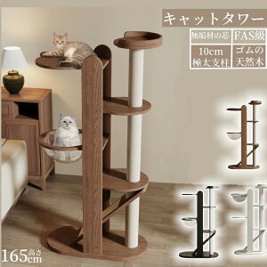 yƊED]zLbg^[ X ^Lp L^[   킢 CeA u R ܂Ƃ  RpNg ȃXy[X lC ^s |h~ 165CM