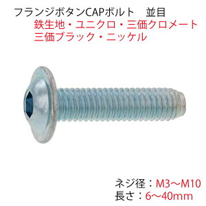 �t�����W�{�^��CAP M3 M4 M5 M6 M8 M10 �S���n ���j�N�� �O���N�����[�g �O���u���b�N �j�b�P�� �O���z���C�g �{�^���L���b�v �{�^���{���g �Z�p���t �{���g �T�C�Y �I�ׂ�