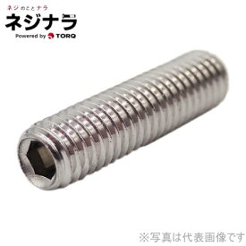 ネジナラ ホーローセット(くぼみ先) ステンレス M12×45 お徳用パック(100個入)