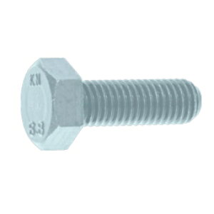 8.8 �Z�p�{���g(�S�˂�) M20x60 �O���N�����[�g