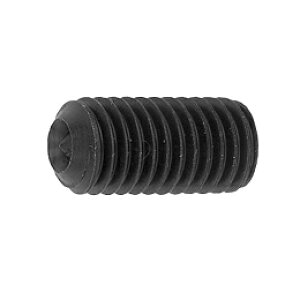 �S �z�[���[(W�|�C���g�ETKS��) M4x10 ���n �y100���z