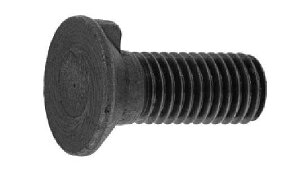 L[tM{gi{gṔy50zL[cLTBT 12X50([ W(܂͓S) / n(܂͕W)