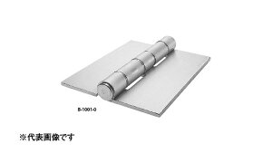 B|1001|16Hy1zB-1001-16H CD:13231 W(܂͓S) / n(܂͕W)