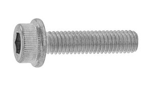 tW\Pbgi{Fy50ztW\Pbg(jzF 10 X 40 W(܂͓S) / OzCg