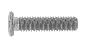 ɒᓪCAPy100zSNeCgECAP 4 X 12 W(܂͓S) / BC(N[g)
