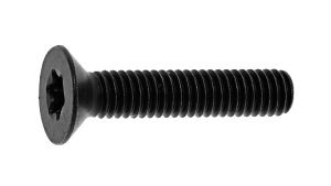 TORX�MCAP�i���Y�i�VJIS�y500�zTORX-�T��CAP(JIS 5 X 15 �W��(�܂��͓S) / �O���z���C�g