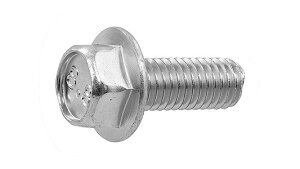 8�D8�t�����W�{���g�i2��iS���y300�z8.8�t�����WBT(2�V�� 6 X 25 �W��(�܂��͓S) / �O���z���C�g