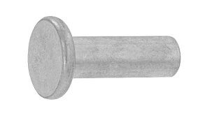 xbgy10zEXqxbg 5 X 50 W(܂͓S) / jN