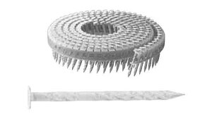 ΂߃v@JNelCy20ziiPJNeN(cPVV 1.83X32 XeX(303A304AXM7) / n(܂͕W)