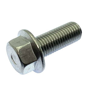 XeX tWt Zp{g [ז] M10 sb`1.25mm 25mm SlW 2{