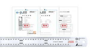 󒍐Yi 10`30z JCSSZؖt i  Vo[ 2m 19064 V