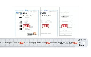 󒍐Yi 10`30z JCSSZؖt i  Vo[ 1m@19017 V