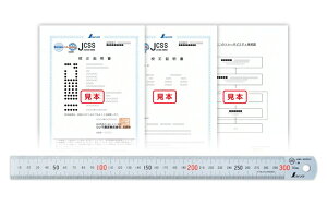 󒍐Yi 10`30z JCSSZؖt i  Xe 30cm 19019 V