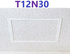 ���ʊ������z T-125N�^ T12N30 (300x300) ���r�_�����g�@�t�N�r���w�H�Ɓ@���c�G�[�X 421474