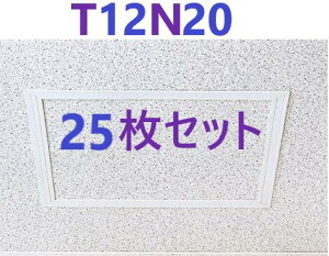 25���E���[ �� �z T-125N�^ T12N20 (200x200) ���r�_�����g�@�t�N�r���w�H��