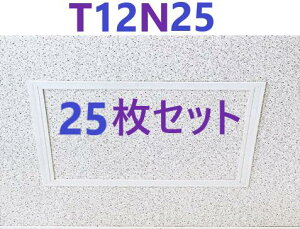 25���E���[ �� �z T-125N�^ T12N25 (250x250) ���r�_�����g�@�t�N�r���w�H��