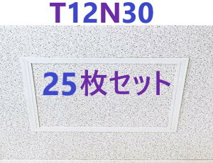 25���E���[ �� �z T-125N�^ T12N30 (300x300) ���r�_�����g�@�t�N�r���w�H��