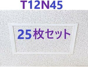 25���E���[ �� �z ���r�_�����g T-125N�^ T12N45 (450x450)�@�t�N�r���w�H��