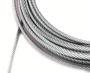 XeX@C[[v1D2mm × 100m y 1 z