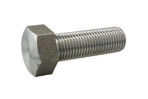 �S/���n �Z�p�{���g (�E�B�b�g�E�S�˂�)W1/4×100�@�y �o������ �F 3�{���� �z