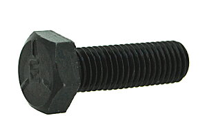 �S(G-5)/���n �Z�p�{���g (���j�t�@�C�ז�[UNF]�E�S�˂�)1/2-20×3/4�@�y �o������ �F 2�{���� �z