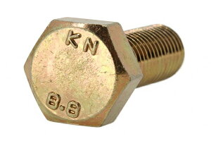 �S/�N�����[�g(�����F���b�L) �Z�p�{���g [���x�敪�F8.8] (�S�˂�)M16×50�@�y �����Z�b�g �F 10�{���� �z