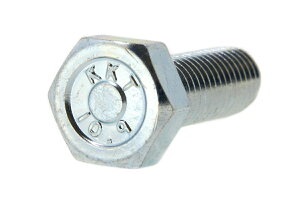 �S(SCM435)/�O���z���C�g �Z�p�{���g [���x�敪�F10.9] (�S�˂�)M18×35�@�y �o������ �F 1�{���� �z