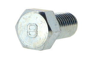 S/OzCg [`] 8}[N Zp{g (S˂)M8×25@y  F 1^300{ z