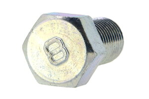 S/OzCg [`] 8}[N Zp{g (זځES˂)M12×30@ssb`1.25t y  F 1^50{ z