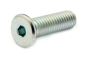 �S(SCM435)/�O���z���C�g [�ɒᓪ] �L���b�v�{���g (�S�˂�)M8×30�@�y �o������ �F 2�{���� �z