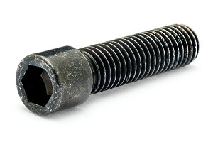 �S(SCM435)/�O���u���b�N [����] �L���b�v�{���g (�S�˂�)M5×16�@�y �o������ �F 2�{���� �z