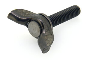 `^/n vX{g [3E󓴉]M6×12@y o F 1{ z