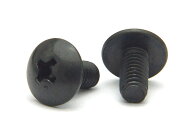 ステンレス/SSブラック (+) トラス小ねじM4×20　【 バラ売り ： 10本入り 】