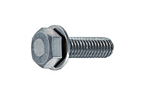 S/n g[}ZX [P=1]M6×12@y o F 10{ z